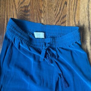 Joie Vibrant Blue Casual Pants